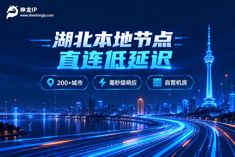 神龙IP湖北本地低延迟节点宣传图