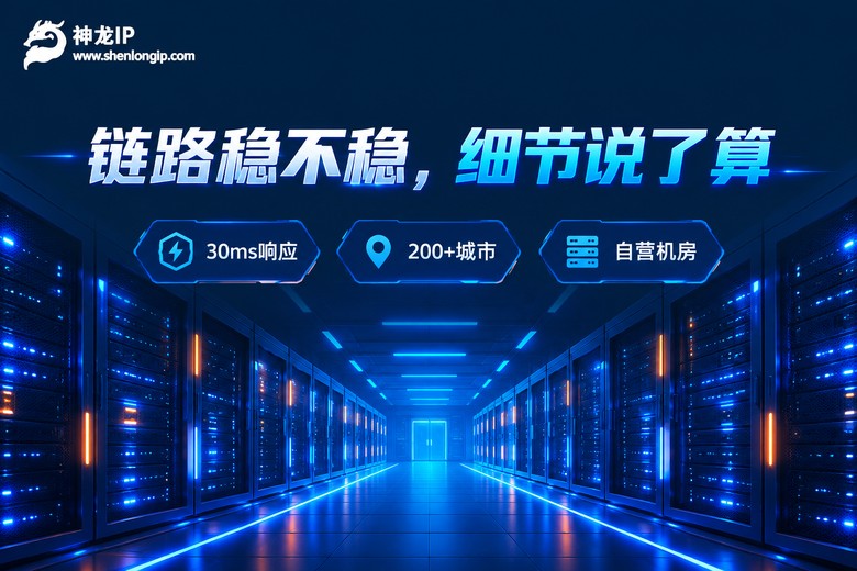 神龙IP品牌信息图:链路稳不稳细节说了算