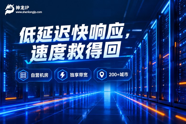 神龙IP低延迟快响应品牌信息图