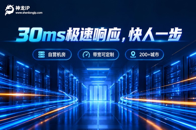 神龙IP品牌卖点:30ms极速响应与自营机房