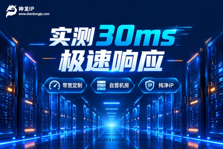 神龙IP品牌图:实测30ms极速响应,带宽定制、自营机房、纯净IP