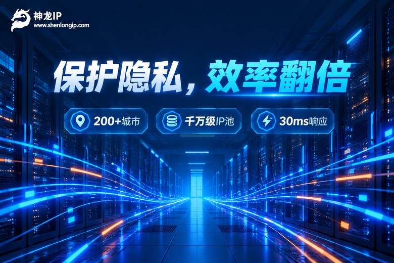 神龙IP保护隐私效率翻倍品牌信息图