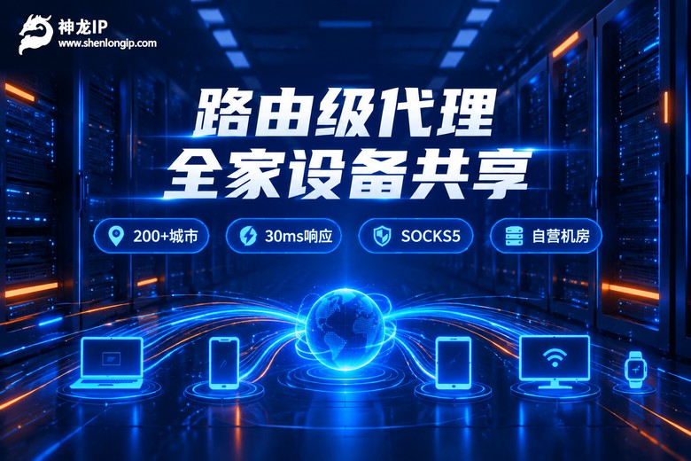 神龙IP路由级代理全家共享品牌图