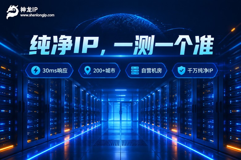 神龙IP纯净代理品牌宣传图