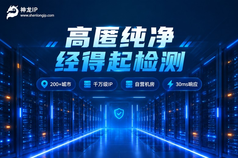 神龙IP高匿纯净代理服务品牌图