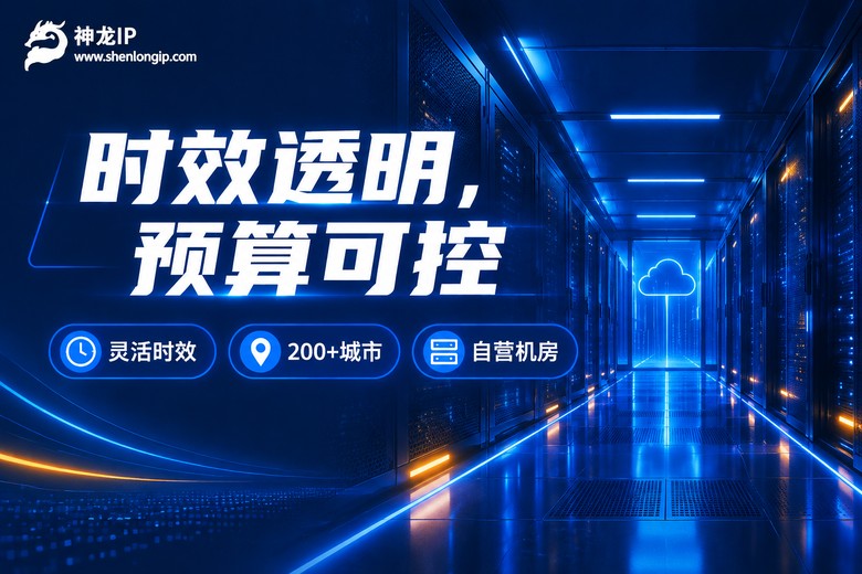 神龙IP时效透明品牌图