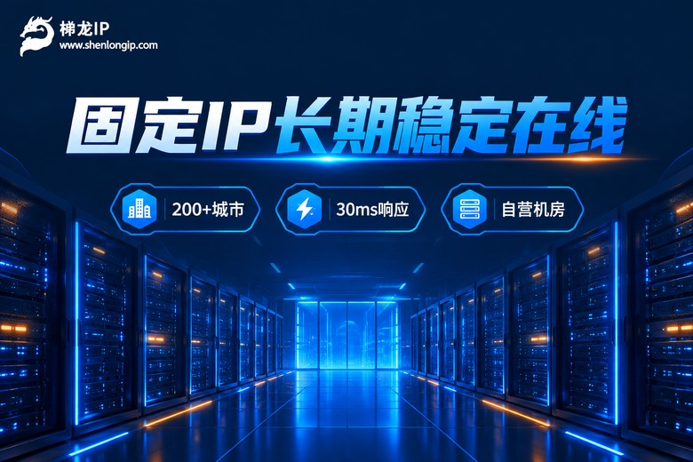 神龙IP固定代理服务品牌图
