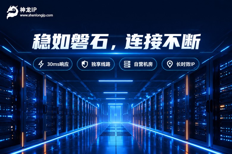 神龙IP品牌图:稳如磐石的连接体验与核心特性