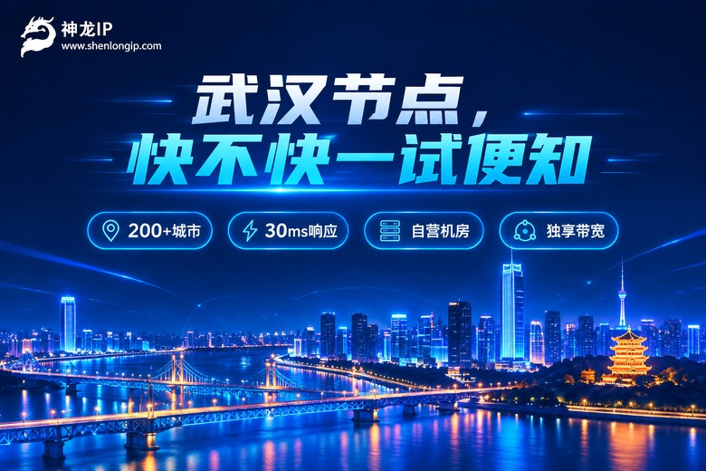 神龙IP武汉节点品牌卖点信息图