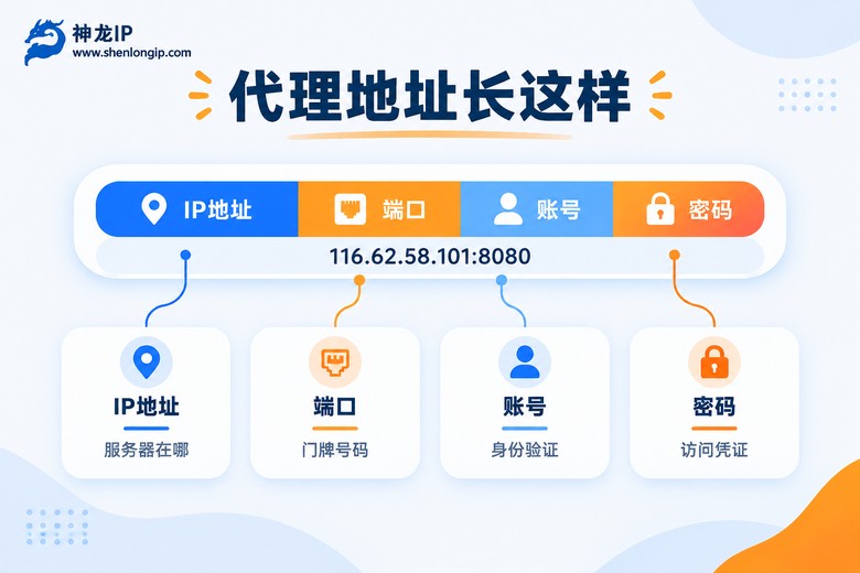 代理地址结构拆解信息图:IP、端口、账号、密码