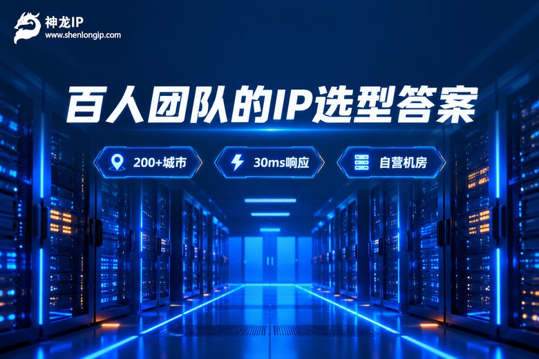 神龙IP百人团队选型方案品牌图
