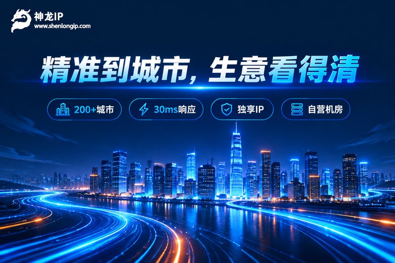 神龙IP品牌信息图:精准到城市的代理IP服务