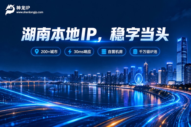 神龙IP湖南本地稳定IP服务品牌图