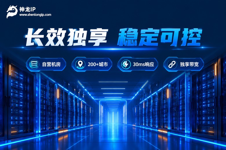 神龙IP长效独享代理品牌信息图