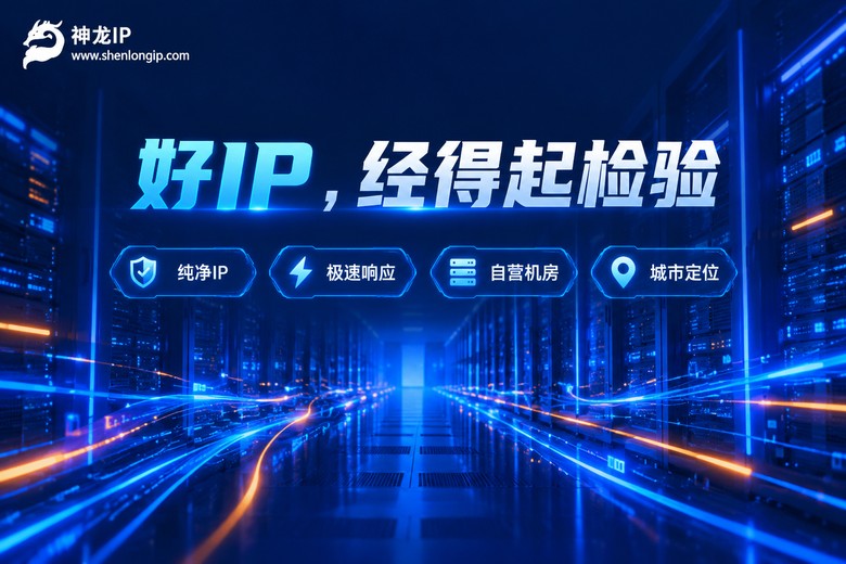 神龙IP纯净低延迟自营机房品牌图