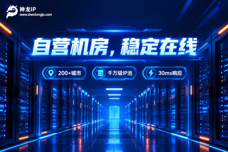 神龙IP自营机房稳定在线品牌宣传图