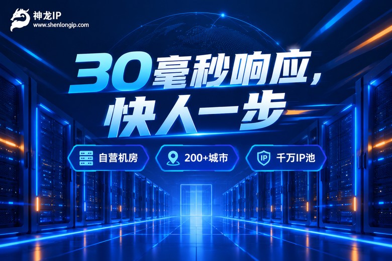 神龙IP低延迟高速代理服务品牌图
