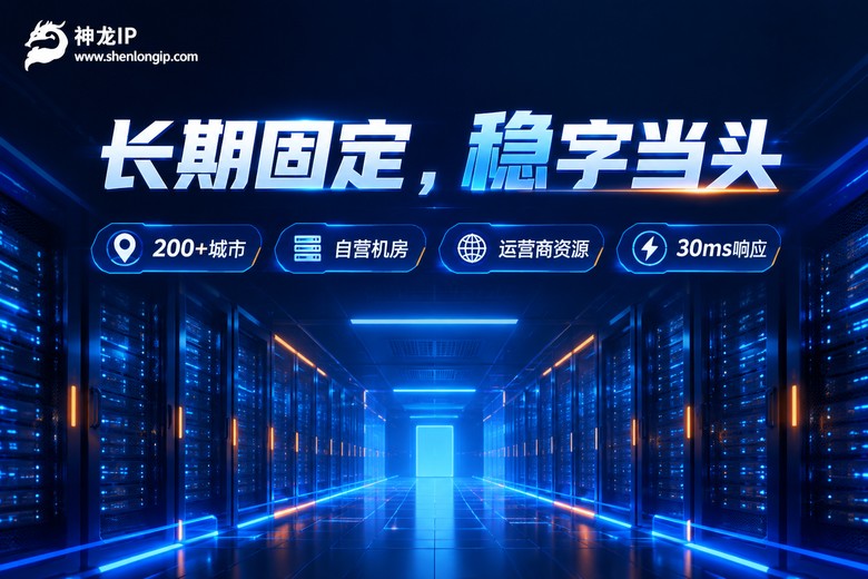 神龙IP长期固定IP品牌信息图