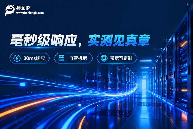 神龙IP毫秒级响应与自营机房特性图
