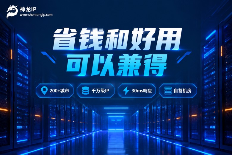 神龙IP高性价比代理服务品牌图