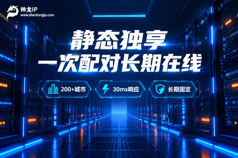 神龙IP静态独享代理品牌卖点图