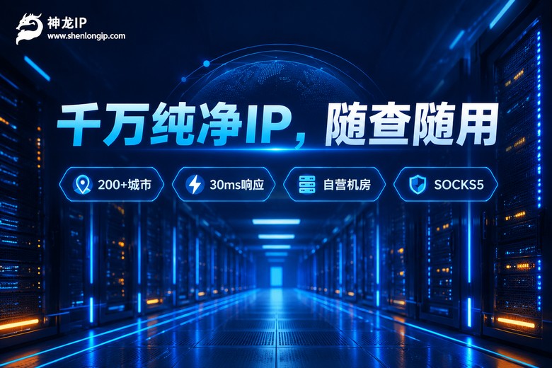 神龙IP千万纯净IP随查随用