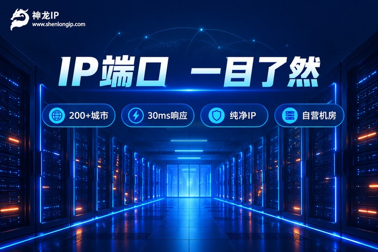 神龙IP品牌图:端口清晰上手快