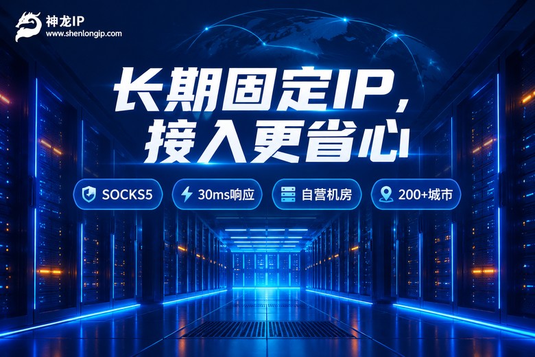 神龙IP长期固定IP服务品牌信息图