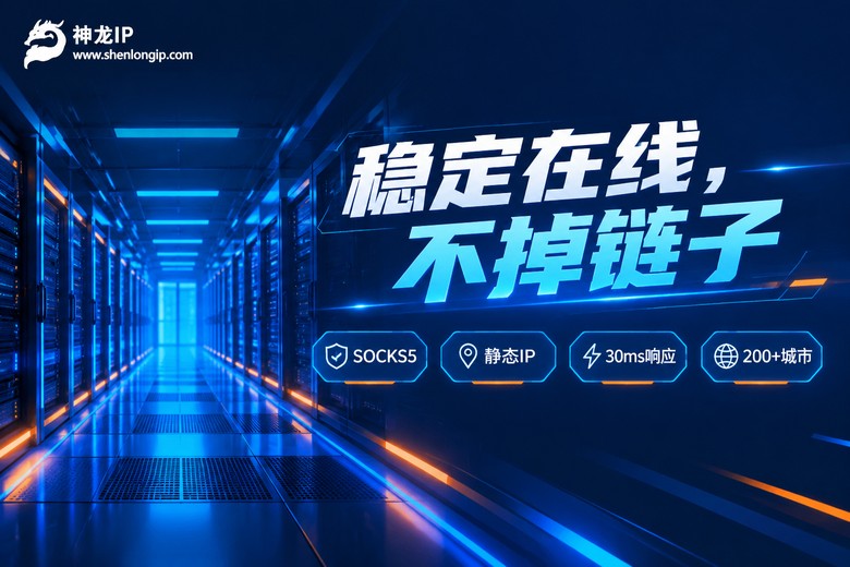 神龙IP稳定在线不掉链子品牌特性信息图