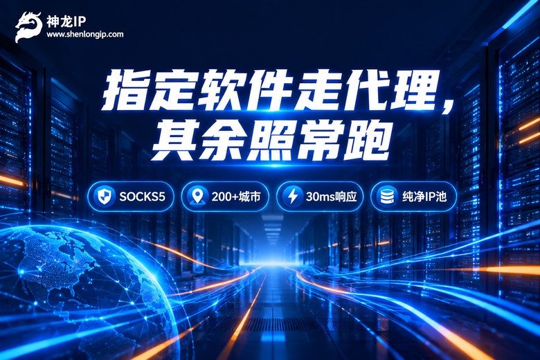神龙IP定点分流品牌信息图
