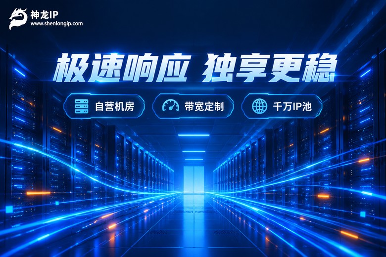 神龙IP品牌图:极速响应独享通道