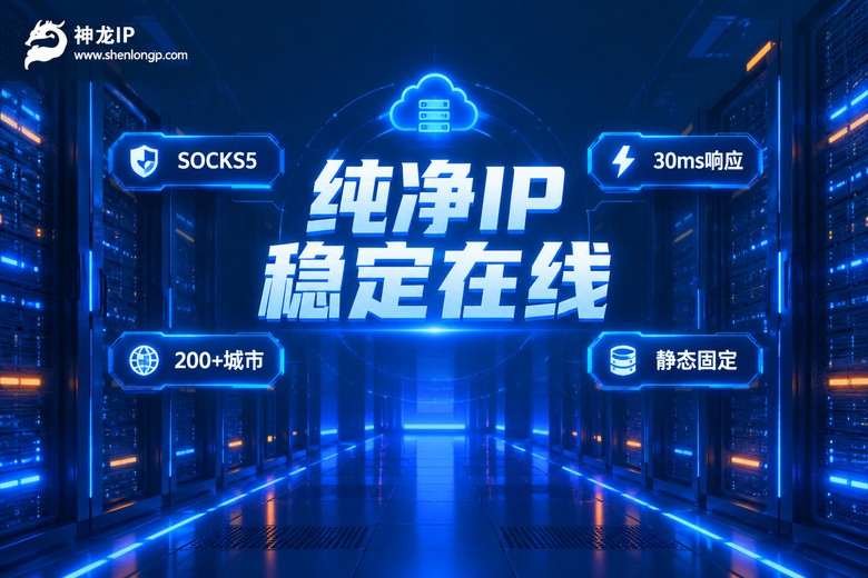 神龙IP纯净代理稳定在线品牌图