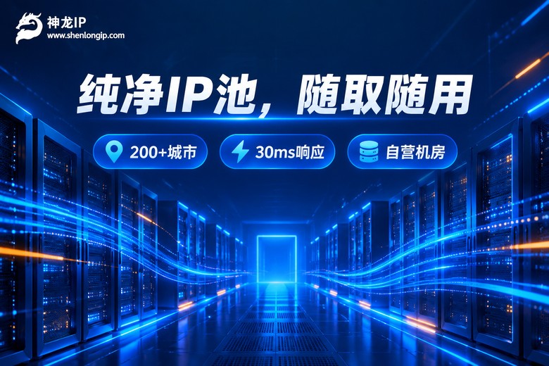 神龙IP纯净IP池与自营机房品牌示意图