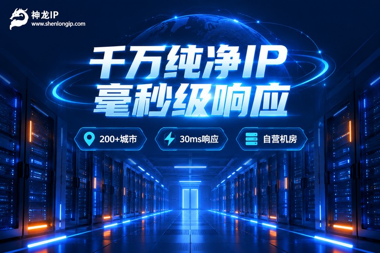 神龙IP千万纯净IP毫秒级响应服务