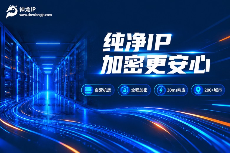 神龙IP自营机房全程加密纯净IP服务