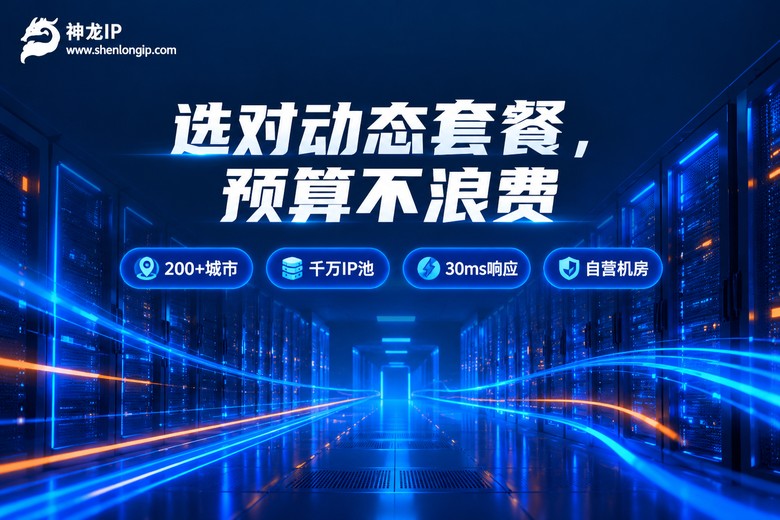 神龙IP按需选套餐不花冤枉钱品牌图