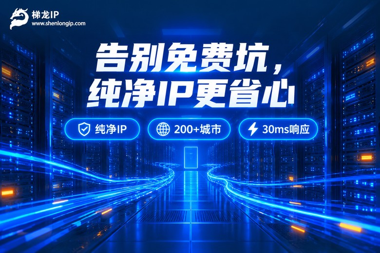 神龙IP品牌图:纯净IP更省心,200+城市30ms响应