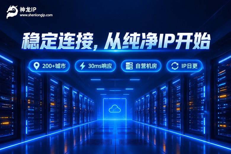 神龙IP稳定连接品牌图