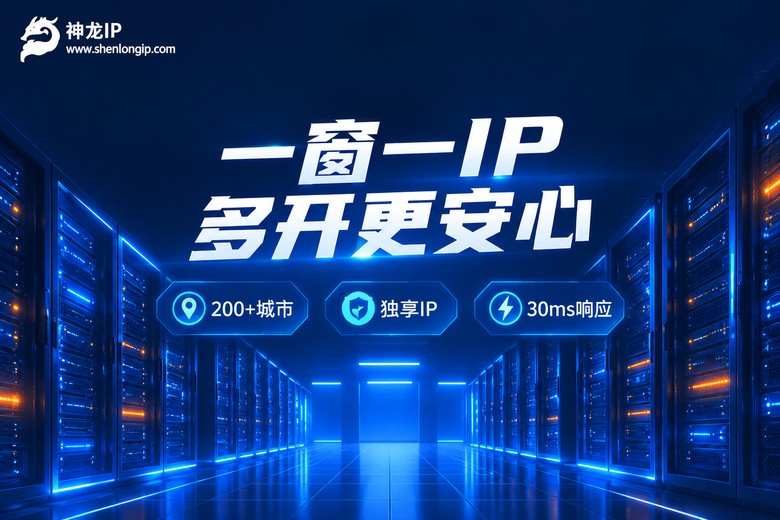 神龙IP一窗一IP多开更安心品牌图