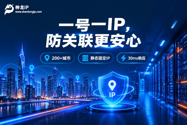 神龙IP一号一IP独立防关联品牌图