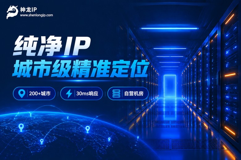 神龙IP纯净代理ip服务城市级精准定位品牌图