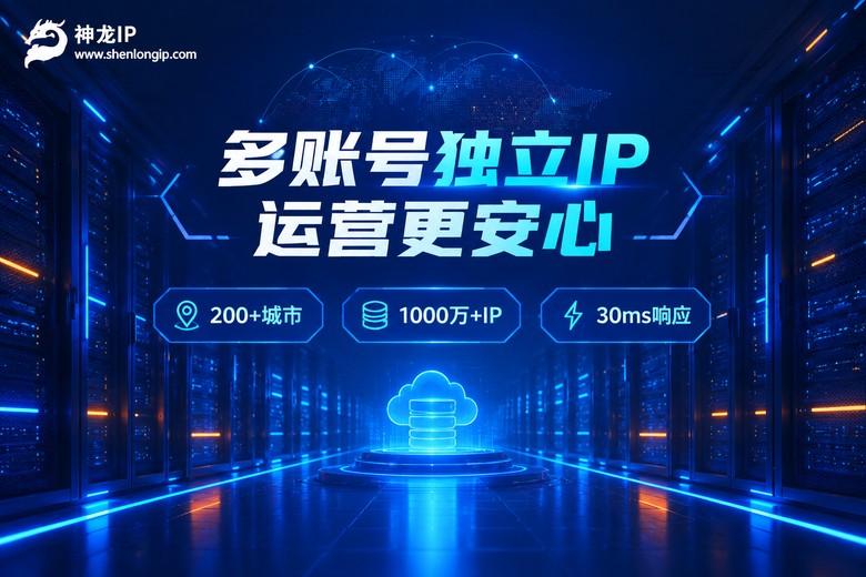 神龙IP多账号独立IP防关联品牌图