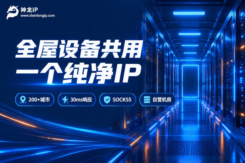 神龙IP品牌图:全屋设备共用纯净IP