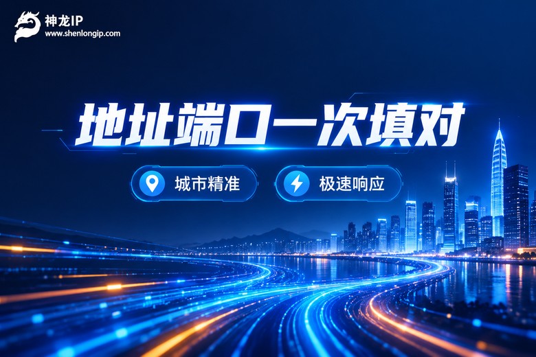 神龙IP地址端口一次填对品牌图