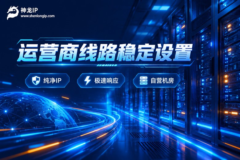 神龙IP运营商线路稳定设置品牌图