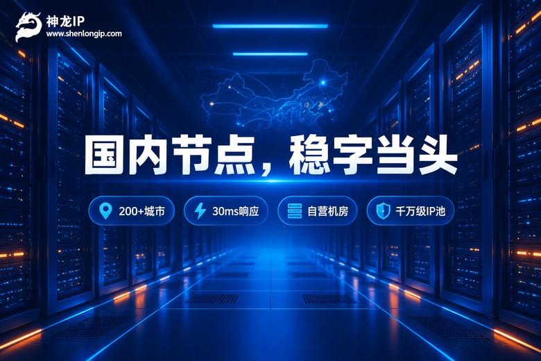 神龙IP国内节点稳定性品牌图