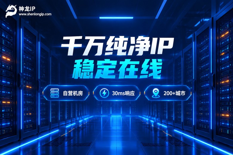 神龙IP千万纯净IP稳定在线品牌图