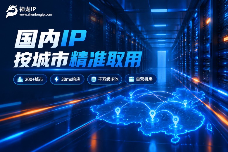 神龙IP国内代理服务品牌图