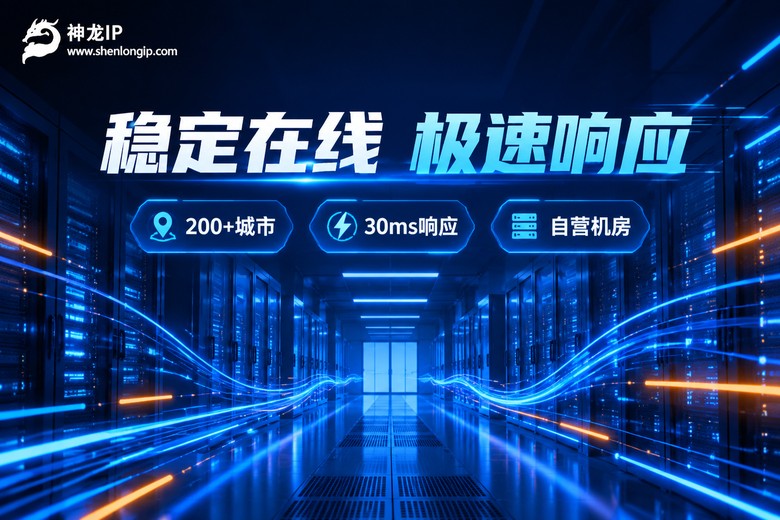 神龙IP稳定连接服务特色